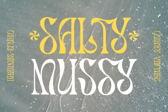 Salty Mussy Font for Creative Projects